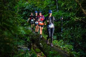 BIB: 9187
                            <button type="button" onclick="openModal(18922108)" class="btn btn-primary btn-sm float-right btn-popup" data-toggle="modal" data-target=".modal-high-quality">
                        <i class="fas fa-shopping-cart"></i> Add to Cart
                    </button>
                                            <button type="button" onclick="isThisMe(18922108, true)" class="btn btn-success btn-sm float-right btn-popup btn-isme hidden" data-toggle="tooltip" data-placement="bottom" title="นี่คือรูปของคุณใช่ไหม คลิกที่นี่เพื่อเอาเข้าอัลบั้ม">
                        <i class="fas fa-plus"></i> Add to album
                    </button>
                    <button type="button" onclick="isThisMe(18922108, false)" class="btn btn-warning btn-sm float-right btn-popup btn-isnotme hidden">
                        <i class="fas fa-ban"></i> Remove from album
                    </button>